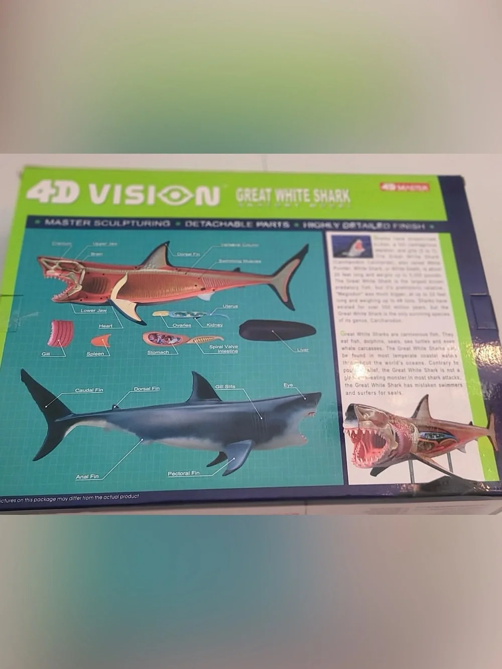 4D Vision Great White Shark Anatomy Model - New In Box perfect for SHARK WEEK